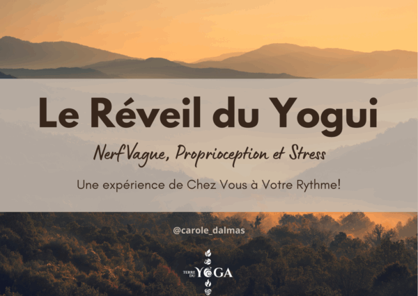 Réveil du Yogui Nerf Vague